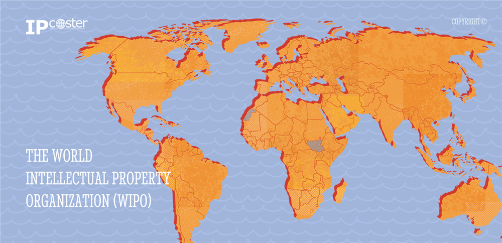 The World Intellectual Property Organization (WIPO)